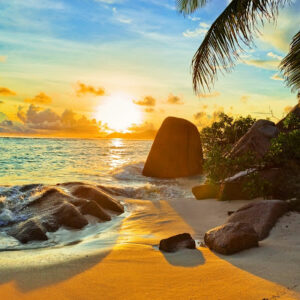 A Day in Paradise